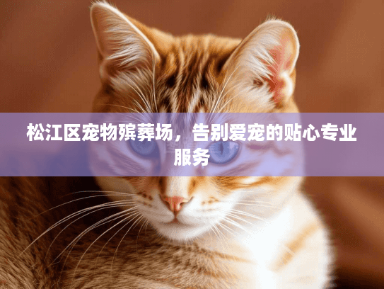 松江区宠物殡葬场，告别爱宠的贴心专业服务
