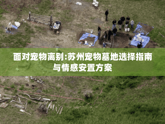 面对宠物离别:苏州宠物墓地选择指南与情感安置方案
