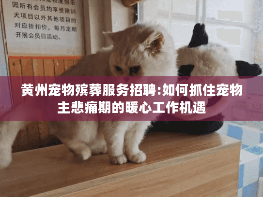 黄州宠物殡葬服务招聘:如何抓住宠物主悲痛期的暖心工作机遇