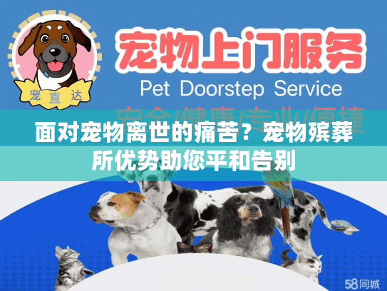面对宠物离世的痛苦？宠物殡葬所优势助您平和告别