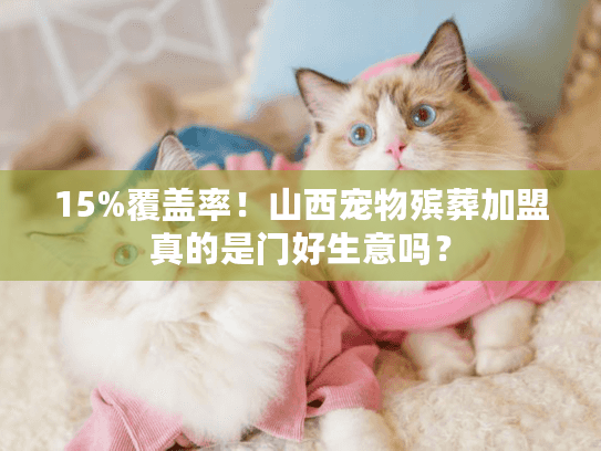 15%覆盖率！山西宠物殡葬加盟真的是门好生意吗？