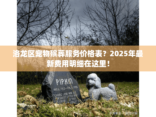 洛龙区宠物殡葬服务价格表？2025年最新费用明细在这里！