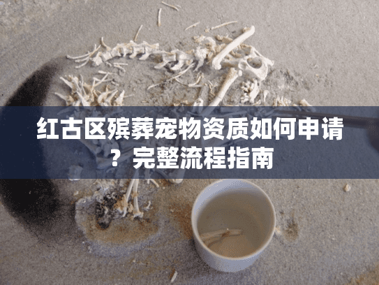 红古区殡葬宠物资质如何申请？完整流程指南