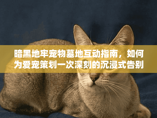 暗黑地牢宠物墓地互动指南，如何为爱宠策划一次深刻的沉浸式告别？