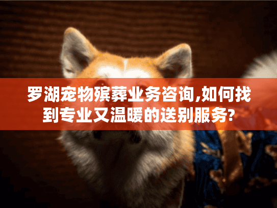 罗湖宠物殡葬业务咨询,如何找到专业又温暖的送别服务?