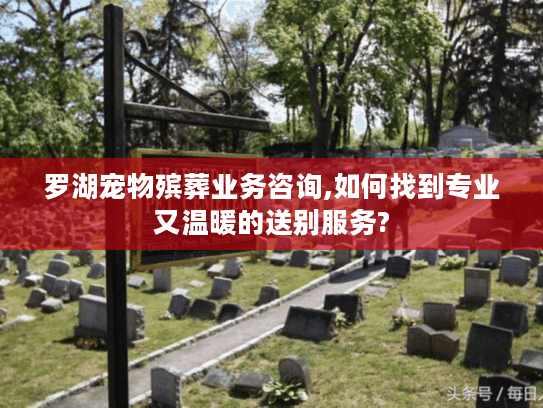 罗湖宠物殡葬业务咨询,如何找到专业又温暖的送别服务?