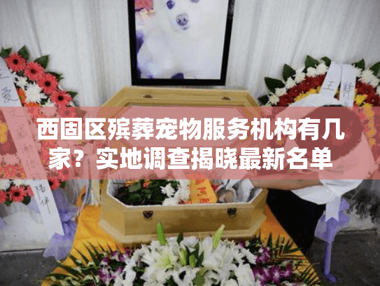 西固区殡葬宠物服务机构有几家？实地调查揭晓最新名单