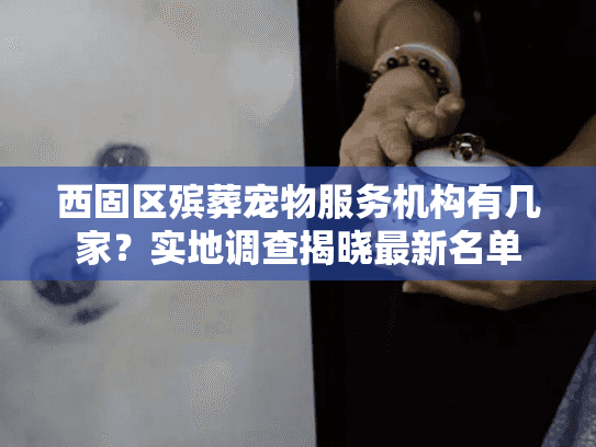 西固区殡葬宠物服务机构有几家？实地调查揭晓最新名单