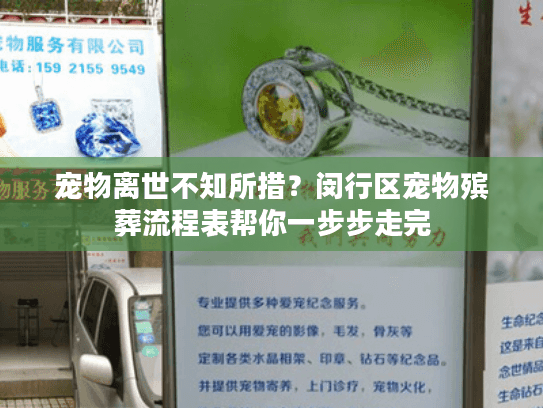宠物离世不知所措？闵行区宠物殡葬流程表帮你一步步走完