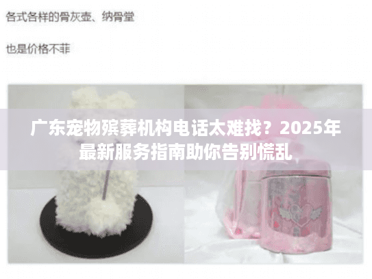 广东宠物殡葬机构电话太难找？2025年最新服务指南助你告别慌乱