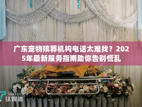 广东宠物殡葬机构电话太难找？2025年最新服务指南助你告别慌乱