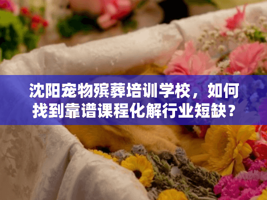 沈阳宠物殡葬培训学校，如何找到靠谱课程化解行业短缺？