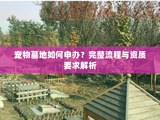 宠物墓地如何申办？完整流程与资质要求解析