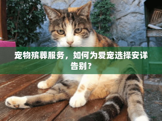 宠物殡葬服务，如何为爱宠选择安详告别？