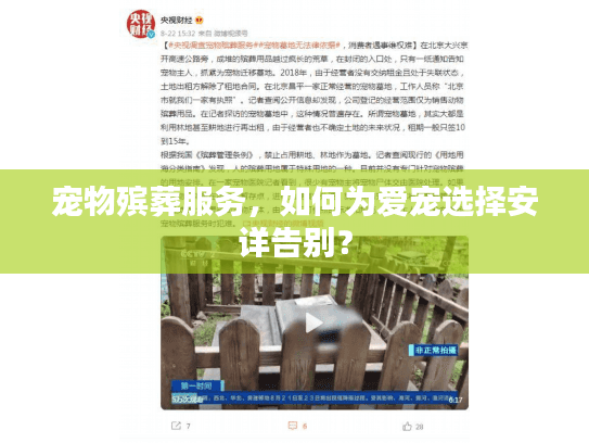宠物殡葬服务，如何为爱宠选择安详告别？