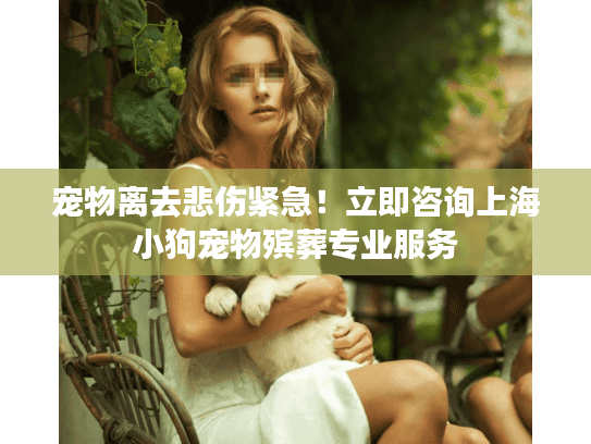 宠物离去悲伤紧急！立即咨询上海小狗宠物殡葬专业服务