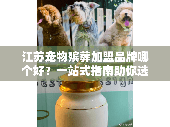 江苏宠物殡葬加盟品牌哪个好？一站式指南助你选