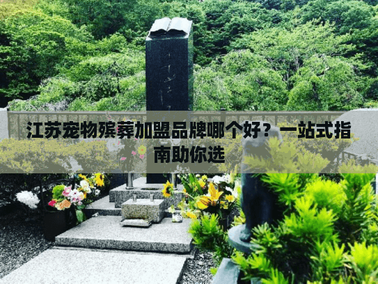 江苏宠物殡葬加盟品牌哪个好？一站式指南助你选