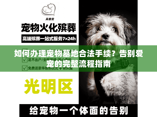 如何办理宠物墓地合法手续？告别爱宠的完整流程指南