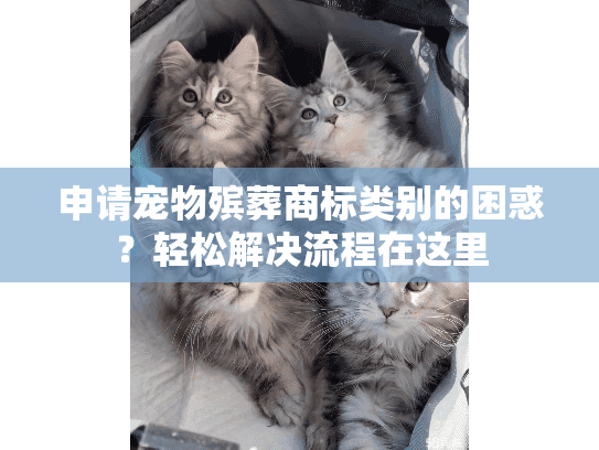 申请宠物殡葬商标类别的困惑？轻松解决流程在这里