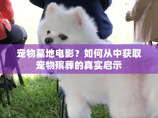 宠物墓地电影？如何从中获取宠物殡葬的真实启示