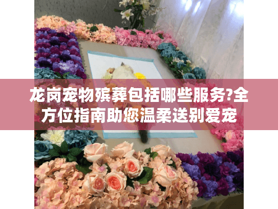 龙岗宠物殡葬包括哪些服务?全方位指南助您温柔送别爱宠