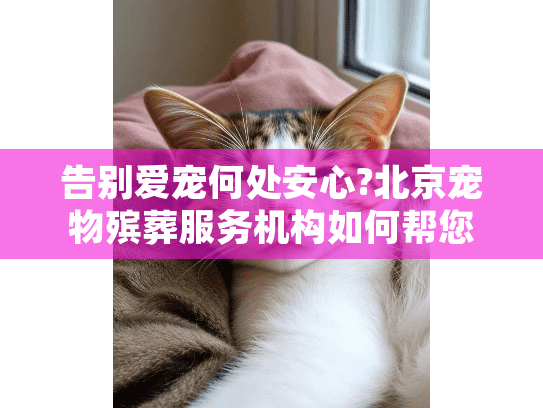 告别爱宠何处安心?北京宠物殡葬服务机构如何帮您妥善善后