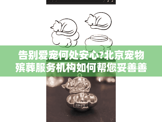 告别爱宠何处安心?北京宠物殡葬服务机构如何帮您妥善善后