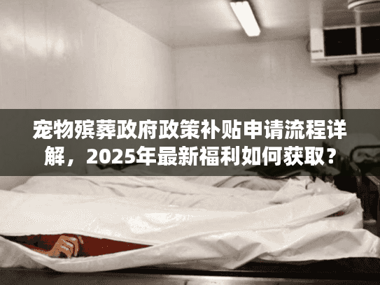 宠物殡葬政府政策补贴申请流程详解，2025年最新福利如何获取？