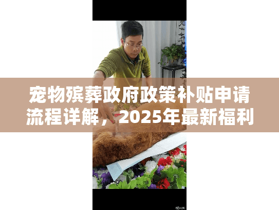 宠物殡葬政府政策补贴申请流程详解，2025年最新福利如何获取？