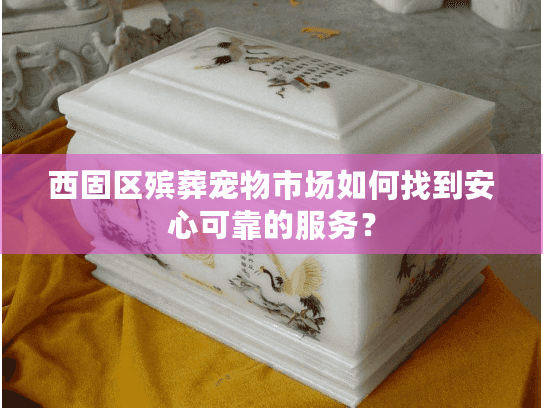 西固区殡葬宠物市场如何找到安心可靠的服务? 西固区殡葬宠物市场如何找到安心可靠的服务?