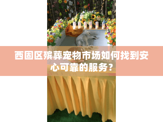 西固区殡葬宠物市场如何找到安心可靠的服务？