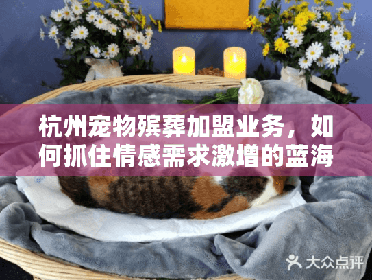 杭州宠物殡葬加盟业务，如何抓住情感需求激增的蓝海商机？