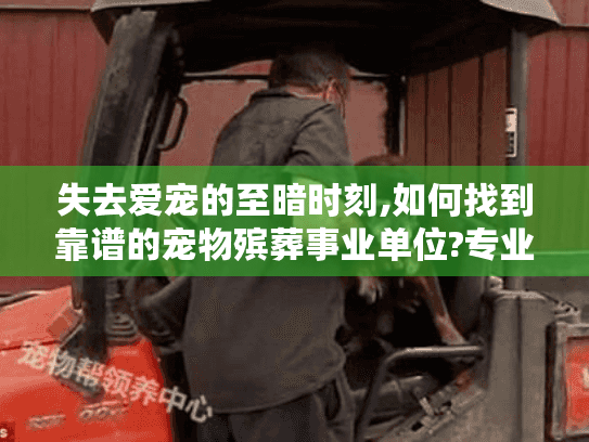 失去爱宠的至暗时刻,如何找到靠谱的宠物殡葬事业单位?专业机构推荐