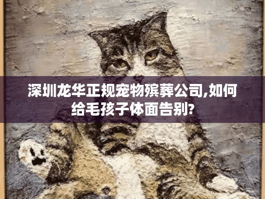 深圳龙华正规宠物殡葬公司,如何给毛孩子体面告别?