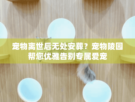 宠物离世后无处安葬？宠物陵园帮您优雅告别专属爱宠