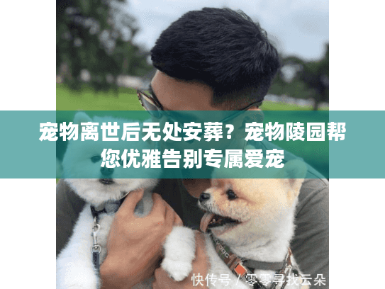 宠物离世后无处安葬？宠物陵园帮您优雅告别专属爱宠