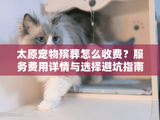 太原宠物殡葬怎么收费？服务费用详情与选择避坑指南