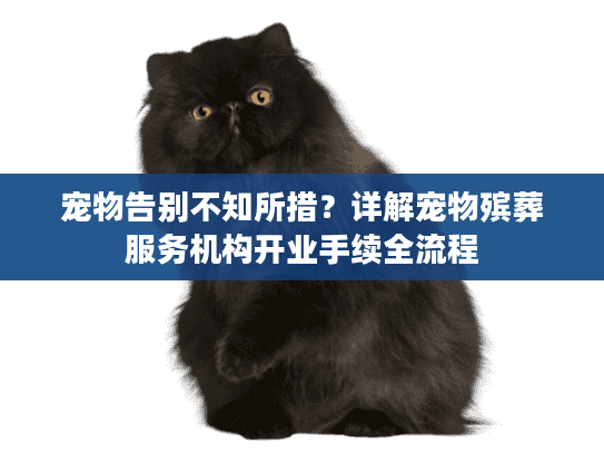 宠物告别不知所措？详解宠物殡葬服务机构开业手续全流程