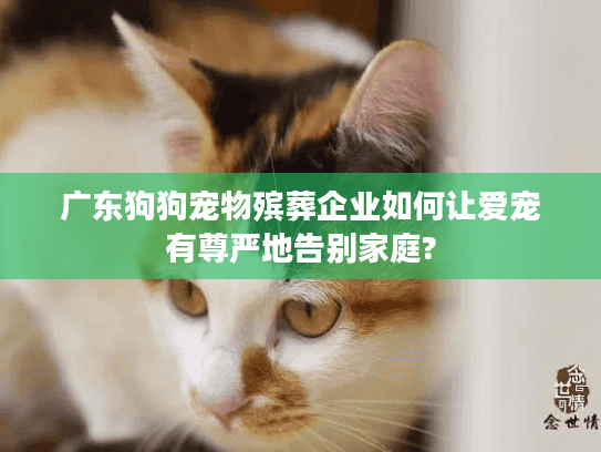 广东狗狗宠物殡葬企业如何让爱宠有尊严地告别家庭?