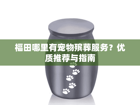 福田哪里有宠物殡葬服务？优质推荐与指南