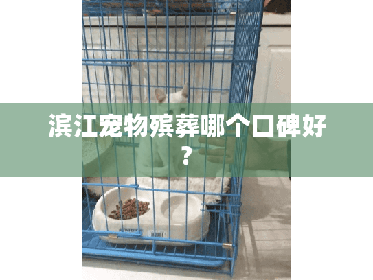 滨江宠物殡葬哪个口碑好?