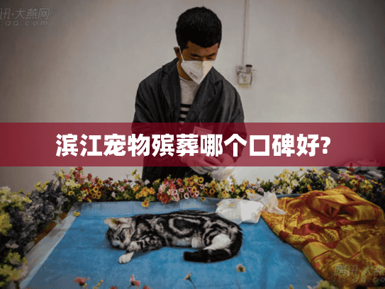 滨江宠物殡葬哪个口碑好?