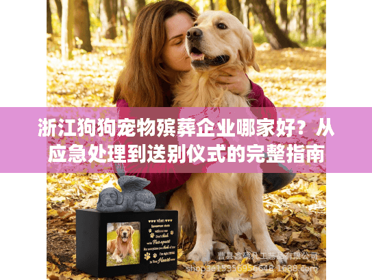 浙江狗狗宠物殡葬企业哪家好？从应急处理到送别仪式的完整指南
