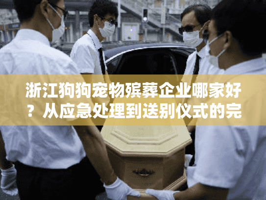 浙江狗狗宠物殡葬企业哪家好？从应急处理到送别仪式的完整指南