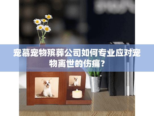 宠慕宠物殡葬公司如何专业应对宠物离世的伤痛？