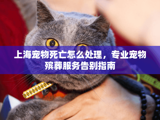 上海宠物死亡怎么处理，专业宠物殡葬服务告别指南
