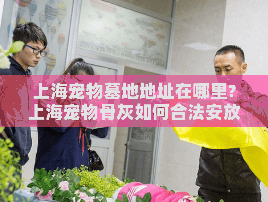 上海宠物墓地地址在哪里?上海宠物骨灰如何合法安放