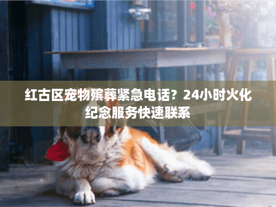 红古区宠物殡葬紧急电话？24小时火化纪念服务快速联系