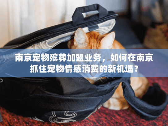 南京宠物殡葬加盟业务，如何在南京抓住宠物情感消费的新机遇？